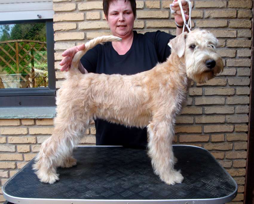 Deetje