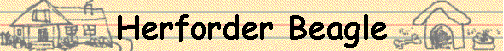 Herforder Beagle