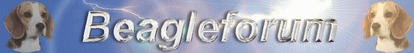bannerbeagleforum6yu