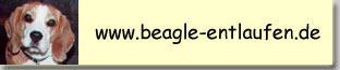beagle-entlaufen