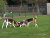 PICT0007