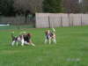 PICT0016