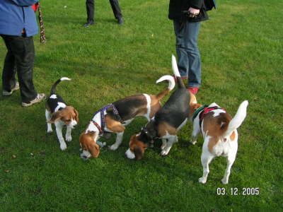 PICT0025