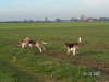 PICT0032