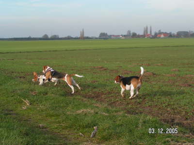 PICT0032