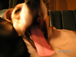 Morg�����nn