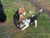 PICT0034