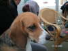 PICT0043