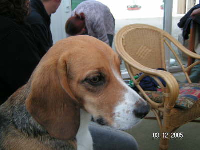 PICT0043