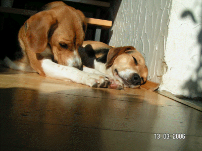 ein kleiner Sonnenstrahl