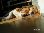Soo wenig Sonne