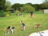 PICT0302