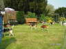 PICT0303