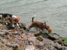 PICT0337