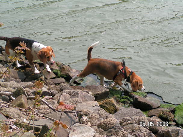 PICT0337