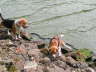 PICT0338