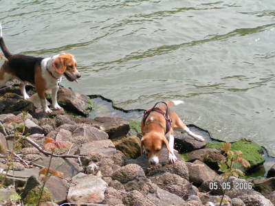 PICT0338