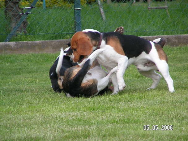 PICT0448