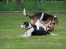 PICT0453