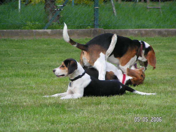 PICT0453
