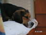 PICT0471