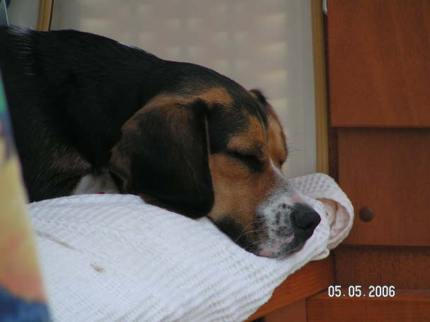 PICT0471