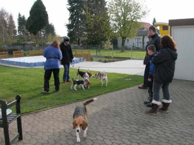 img000011