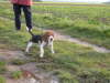 img000038