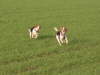 img000052