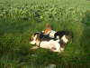 img000063