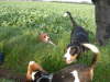 img000065