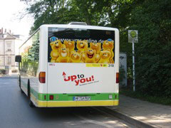 Bärchen im Bus