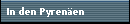 In den Pyren�en