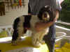 IM002608.JPG (370956 Byte)