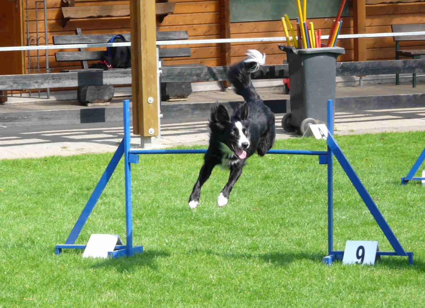 Sprung &uuml;ber die H&uuml;rde