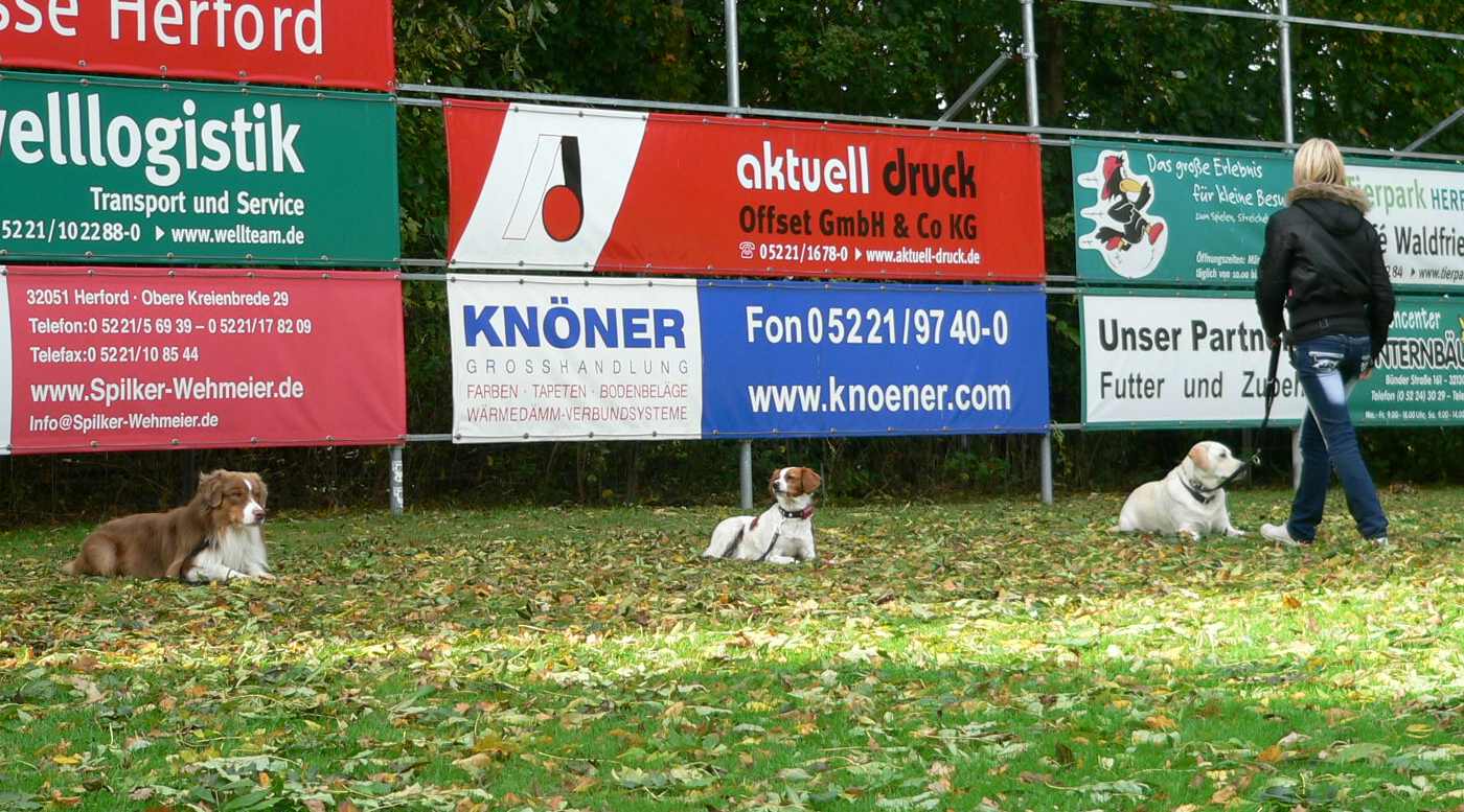 Gruppenarbeit