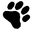 Pfote