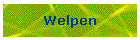 Welpen