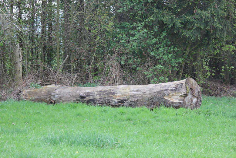 Jagdreiter Bückeburg Jagdstrecke