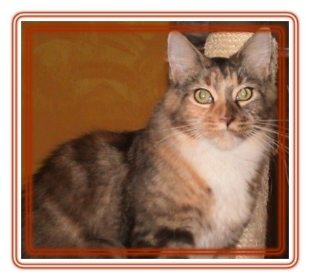 Unsere super s��e Milli