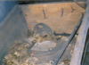 Die sterblichen Überreste des Leopold Labor in der Krypta der Augustiner der St. Michaeliskirche