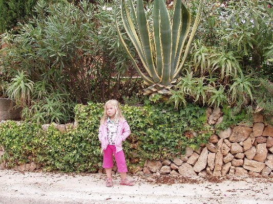 image20
