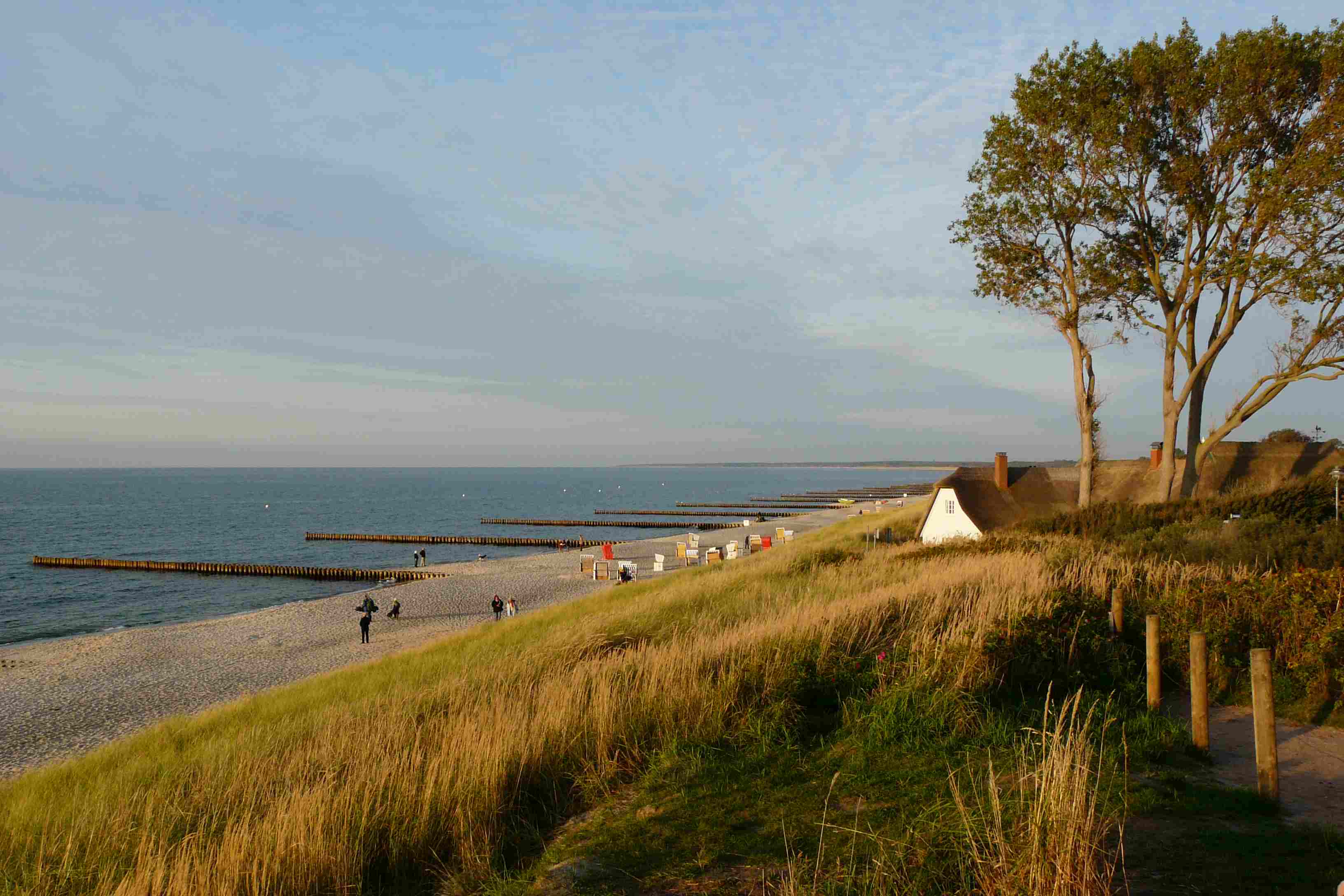 Bilder vom Fischland und vom Darß